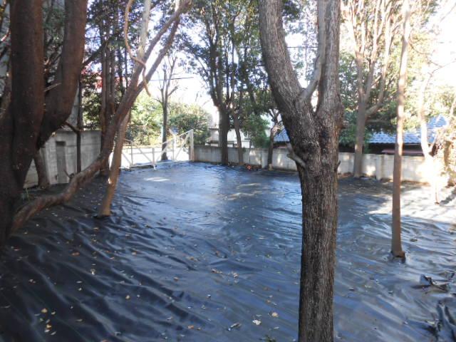 Local land photo. Local (12 May 2013) Shooting