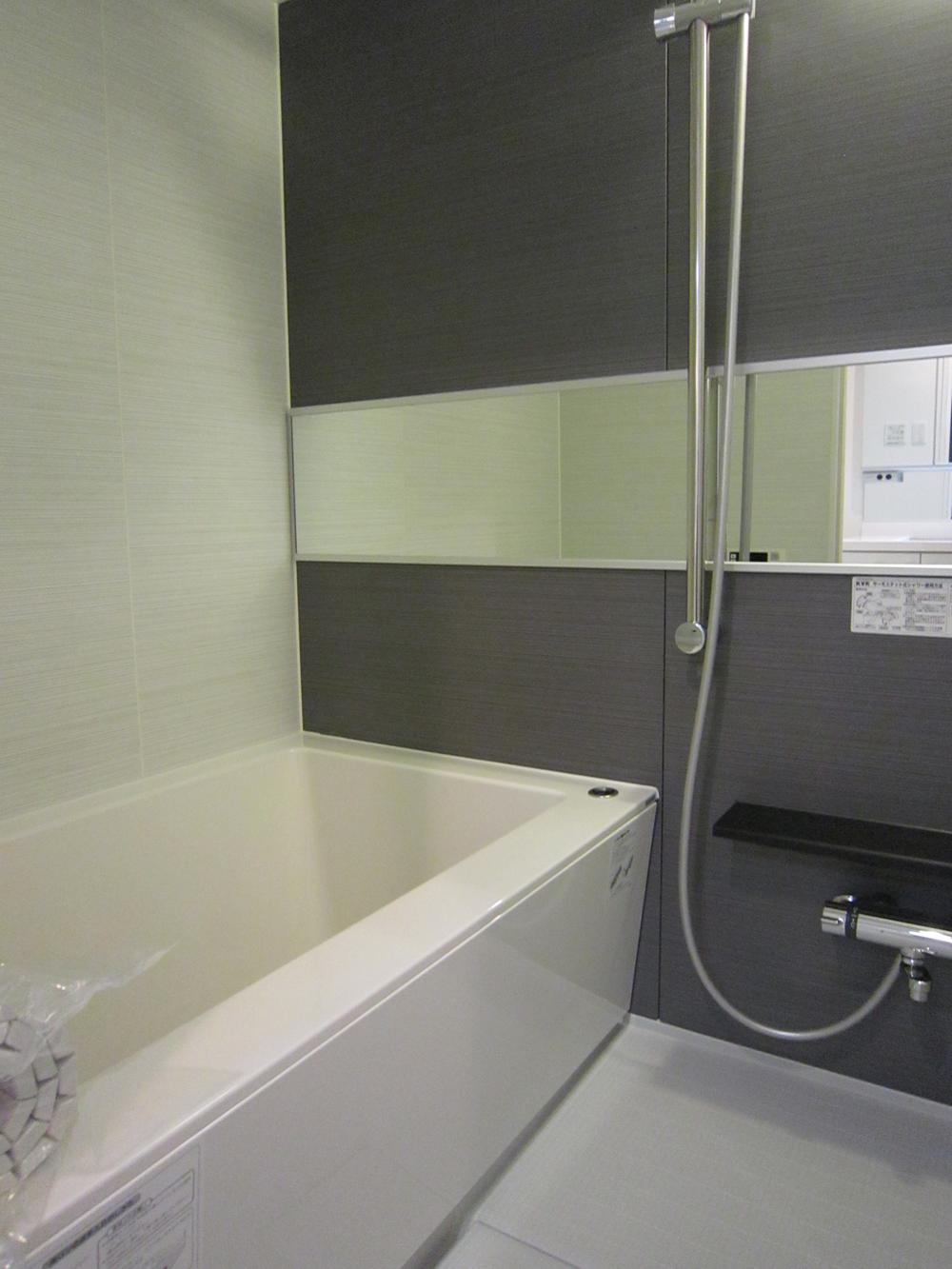 Bathroom. Indoor (2013 November) shooting