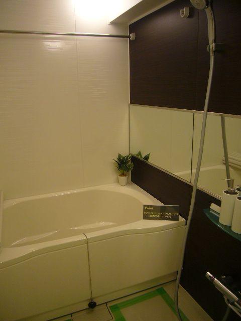 Bathroom. Bathroom Dryer Add-fired with function