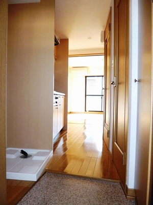 Entrance. Introspection as it is seen from the front door