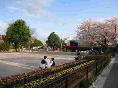 park. 60m to Chihaya Flower Park (park)