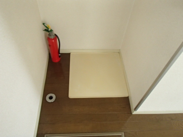 Other room space. Washing machine in the room