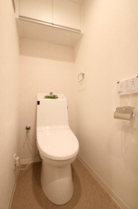 Toilet. Seller construction cases