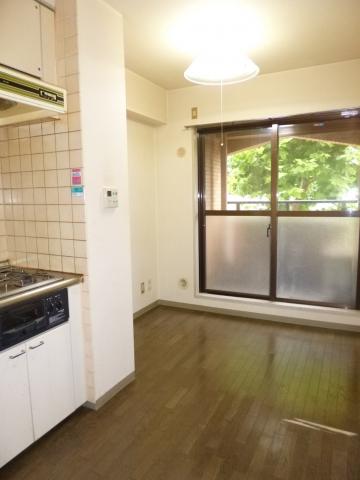 Kitchen. DK