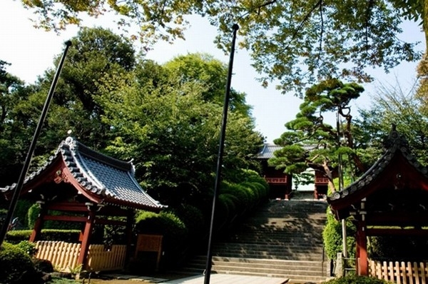 Building structure. Gokokuji (about 660m)