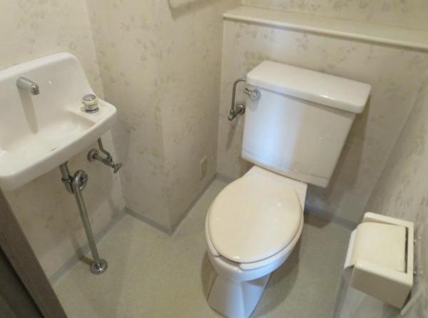 Toilet