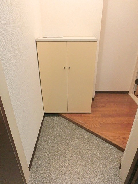 Entrance. Entrance hall