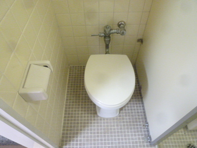 Toilet. Toilet (reference photograph of another in Room)