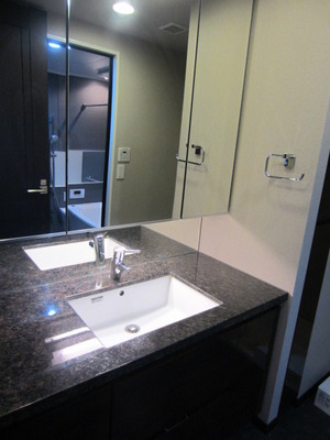 Washroom. Wash basin