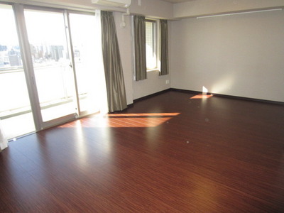 Living and room. Living-dining