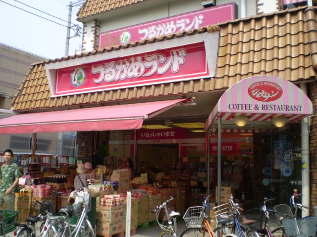 Home center. Tsurukame 800m to land (home improvement)