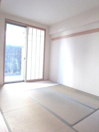 Other introspection. Japanese style room