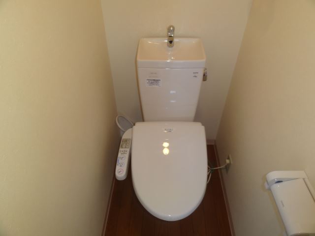 Toilet. Clean toilet