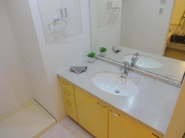 Wash basin, toilet. Clean bathroom vanity