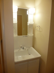 Washroom. Shampoo dresser