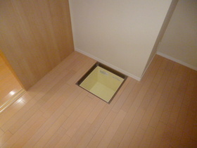 Other. With under-floor storage