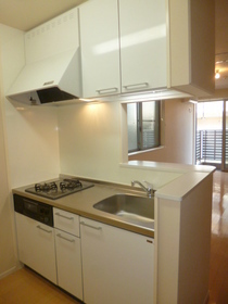 Kitchen. Grill with gas two-burner system Kitchen