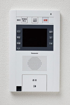 Security. Intercom with color monitor