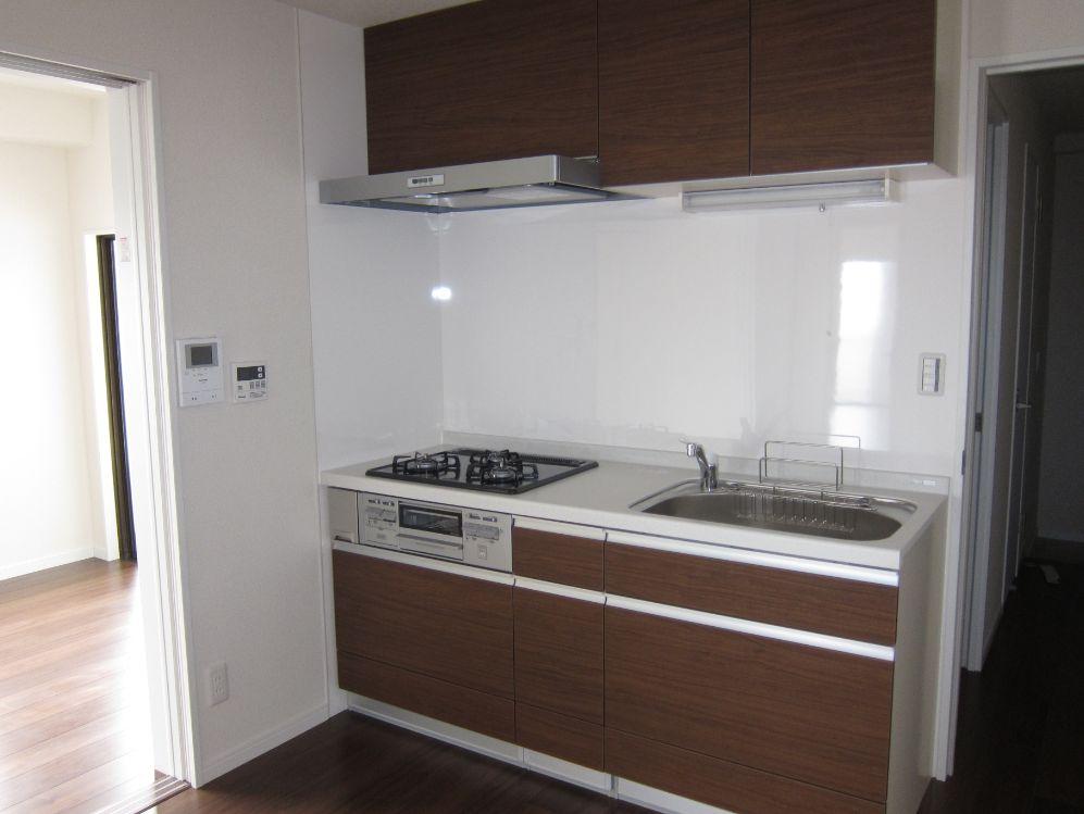 Kitchen. Indoor (12 May 2013) Shooting