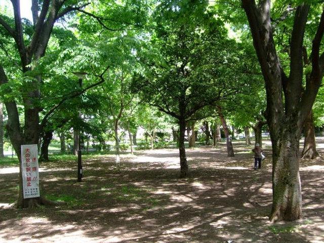 park. Best time to see the flowers in full glory in the 800m spring to Toyama Park