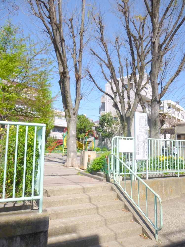 park. 44m to the park (park)