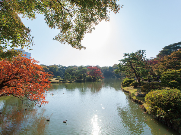 Surrounding environment. Rikugien (about 1020m ・ Walk 13 minutes)