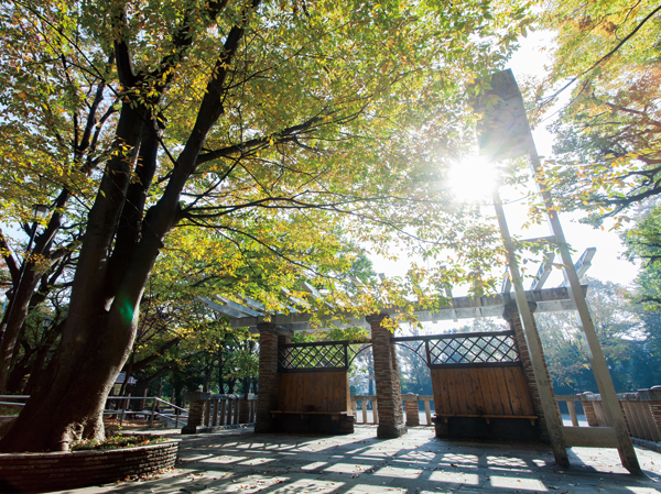 Surrounding environment. Otsuka park (about 670m ・ A 9-minute walk)