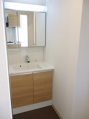 Washroom. Shampoo dresser