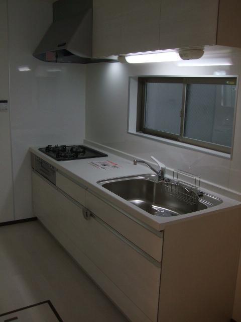 Kitchen. Indoor (11 May 2013) Shooting