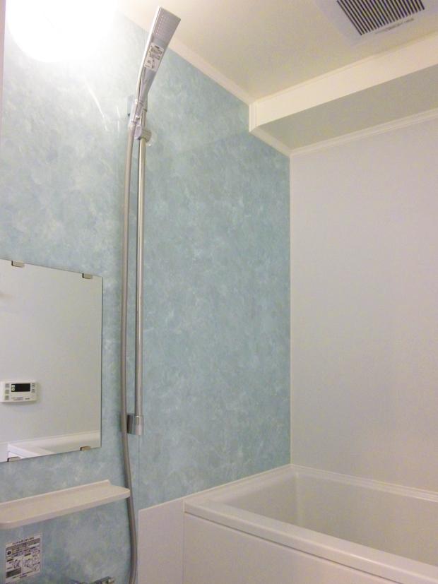 Bathroom. Indoor (06 May 2013) Shooting
