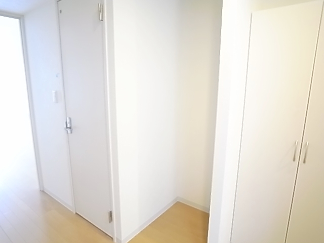 Kitchen. Fridge yard of the kitchen back.