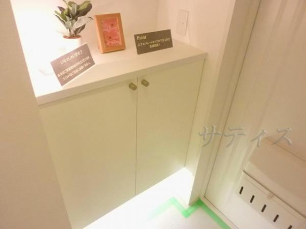 Entrance. Entrance space