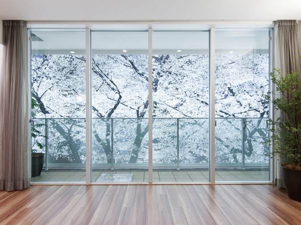 Living.  [Living Dining] "Wall seismic isolation structure" also enables large opening with a beautiful living space with no pillars and beams. The four seasons of the cherry tree that will move on to about 2.5m high full-height sash over of, You can Enlightenment thing as if look at the screen of the movie. (Model Room 90C-SW type of LD ・ Select Plan ・ Application Exit. Scenery of capiz panels)