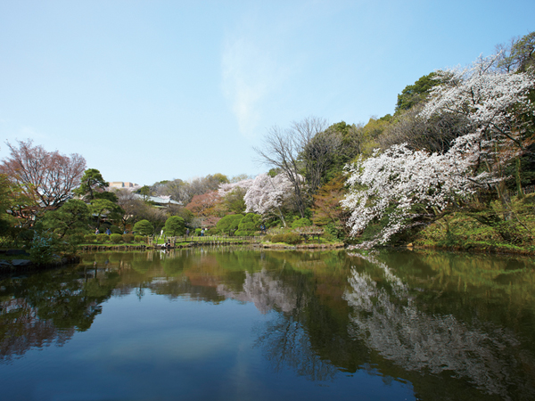Surrounding environment. New Edogawa Park (about 810m)