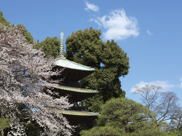 Surrounding environment. Meiji politicians, Yamagata Aritomo villa trace "Chinzan-so" (about 1170m) / It is a land of scenic beauty from ancient times, Mejiro in the Edo period of feudal lords our suburban residence is placed. The surrounding garden to stop its vestiges are scattered