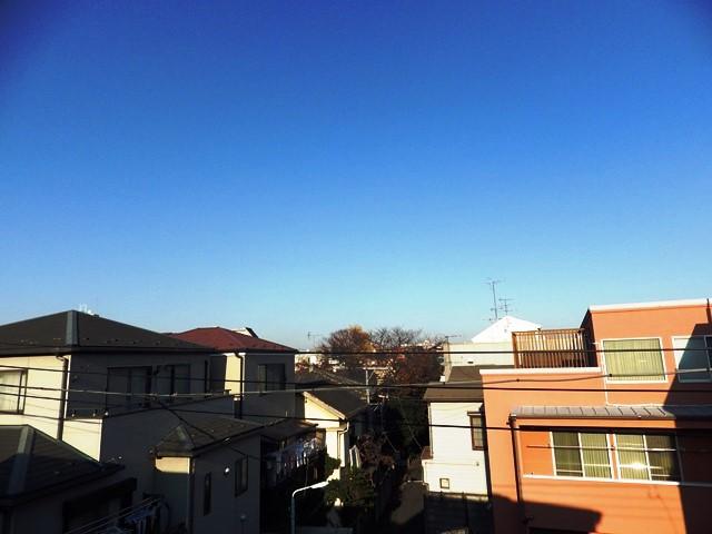 View photos from the dwelling unit. View from local