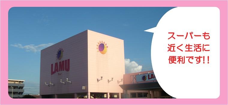 Supermarket. Lamb - 370m to Yonago North shop