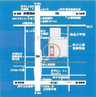 Local guide map