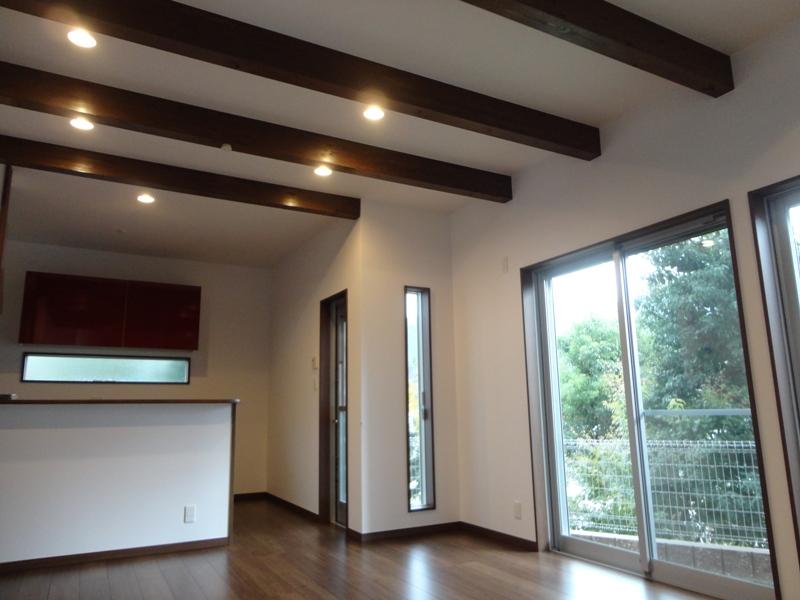 Same specifications photos (living). Our construction cases LDK