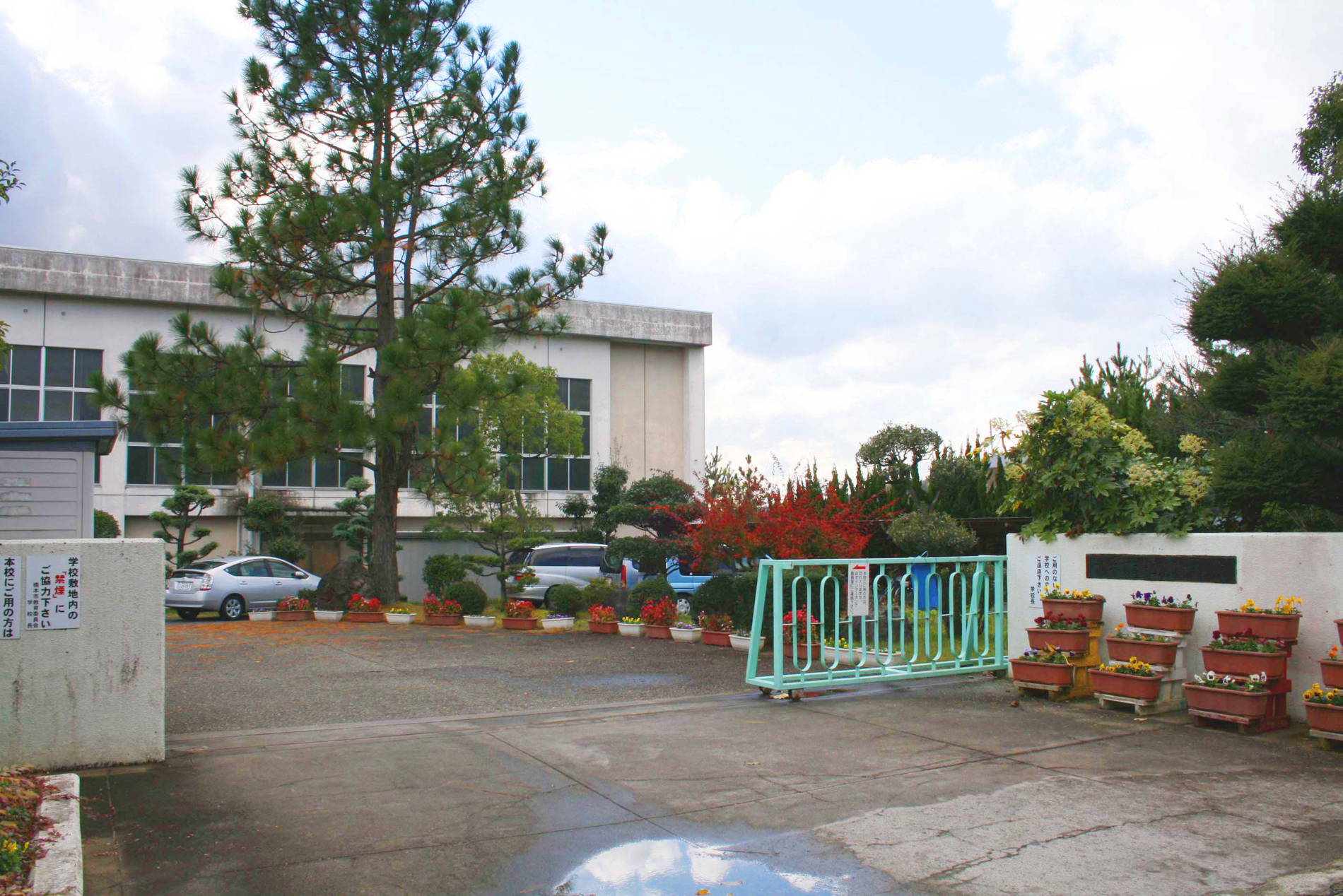 Other Environmental Photo. Because it is in 2000m quiet and privileged environment to Kimi east junior high school, Carefree grew up likely