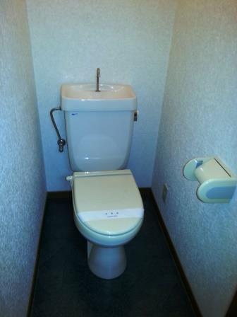 Toilet. It has been cleaned ☆