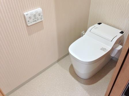 Toilet. Tankless of Washlet toilet