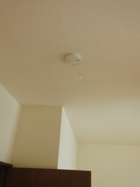 Other Equipment. Fire alarm