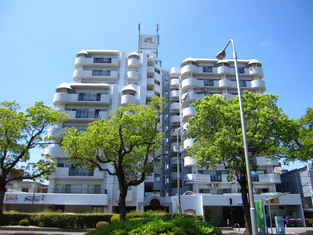 Local appearance photo