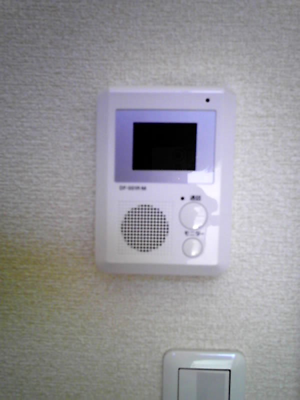 Security. Monitor with intercom