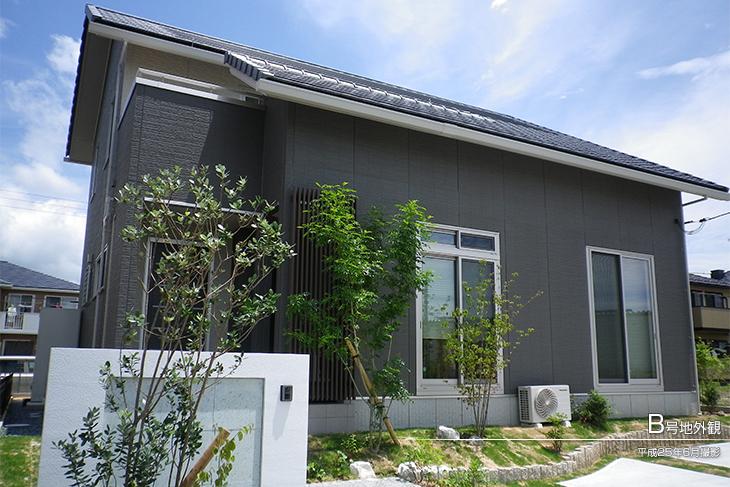 Local appearance photo.  [No. B land] Appearance Photo] 2013 June shooting