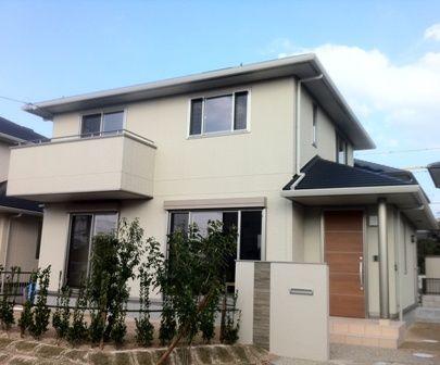 Other local. Cleanliness full appearance in which the white tones. Bright sunshine will plug on the south-facing. 