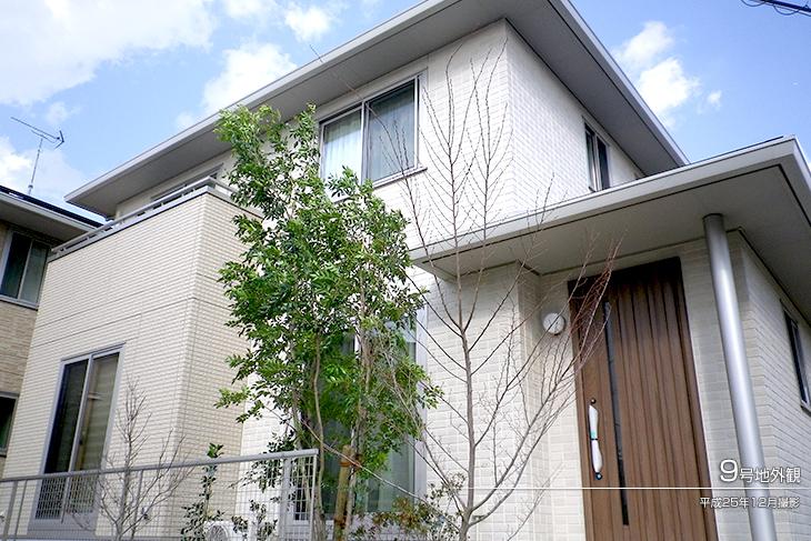 Local appearance photo.  [No. 9 areas] Appearance Photo] 2013 December shooting