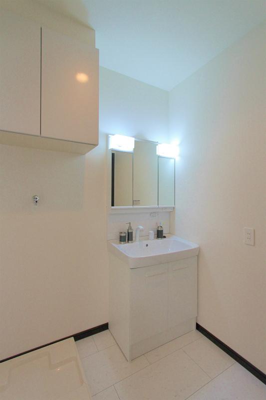 Wash basin, toilet. 2013 September 2 shooting