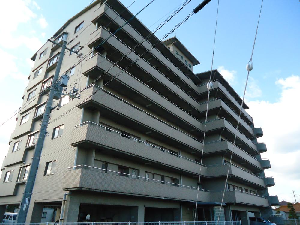 Local appearance photo. Local (11 May 2013) Shooting